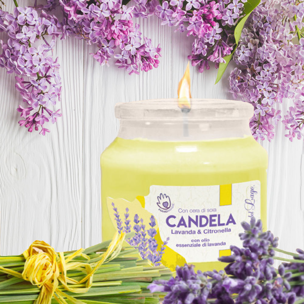 CANDELA CITRONELLA