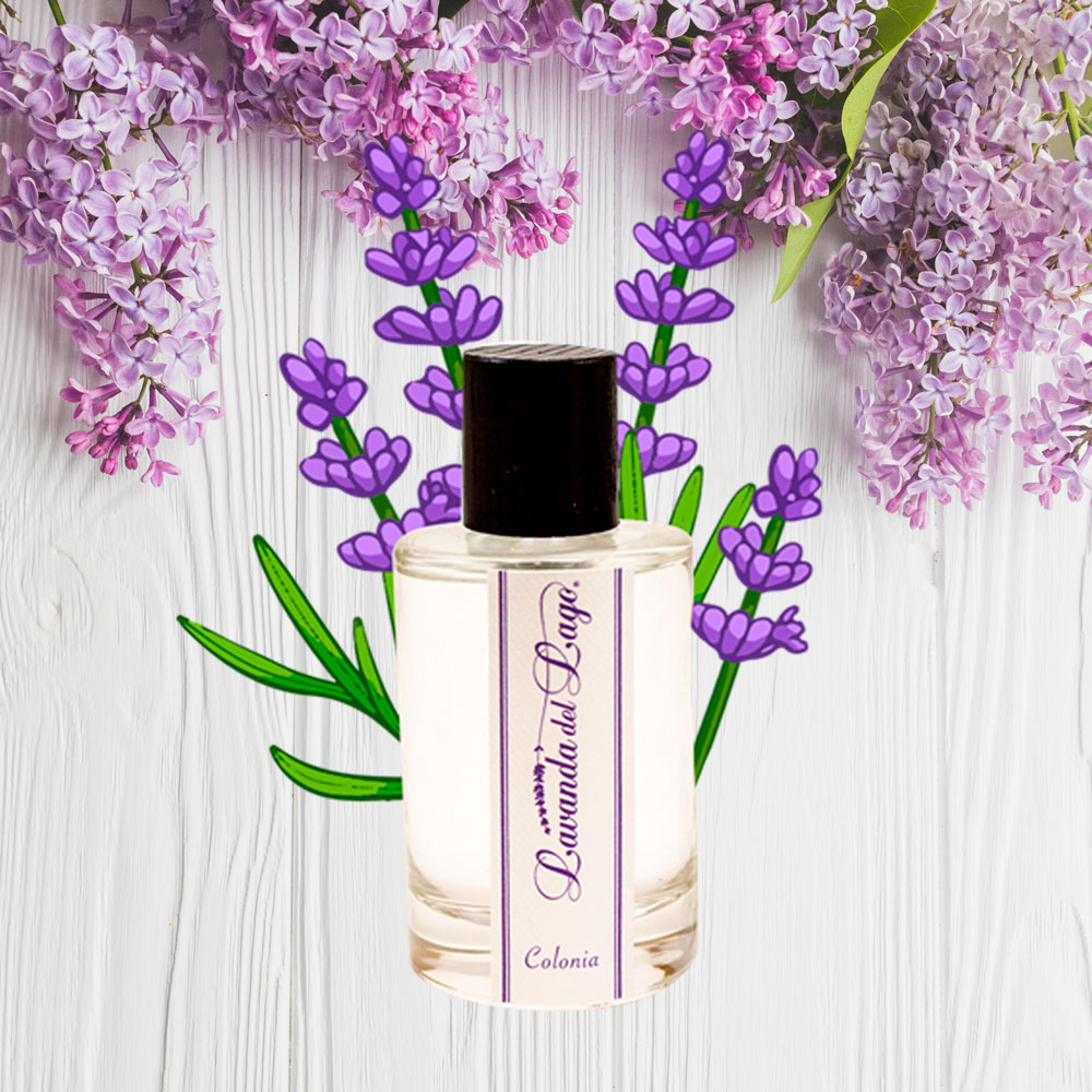 COLONIA LAVANDA M
